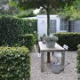 Beukenhaag als terrasafscheiding